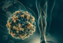 Publicado el libro «Polio y Postpolio en el S. XXI: la reaparición del virus